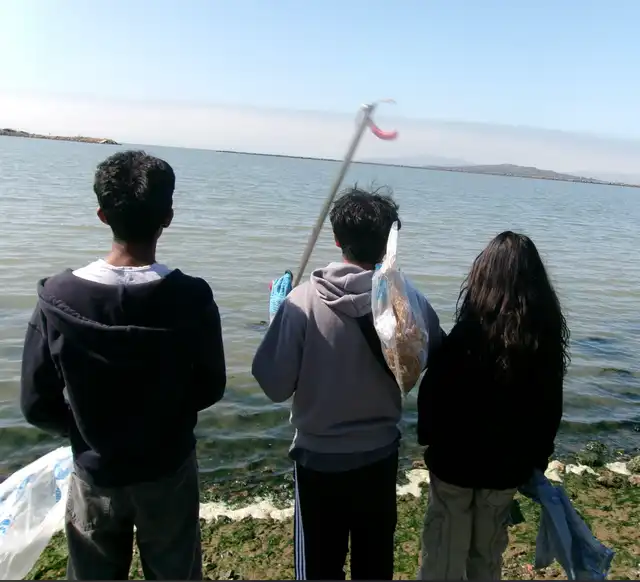 Data Visualization Interface